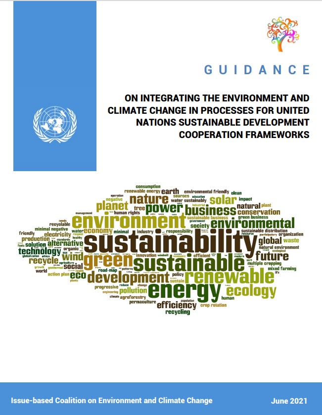 Mainstreaming Guidance