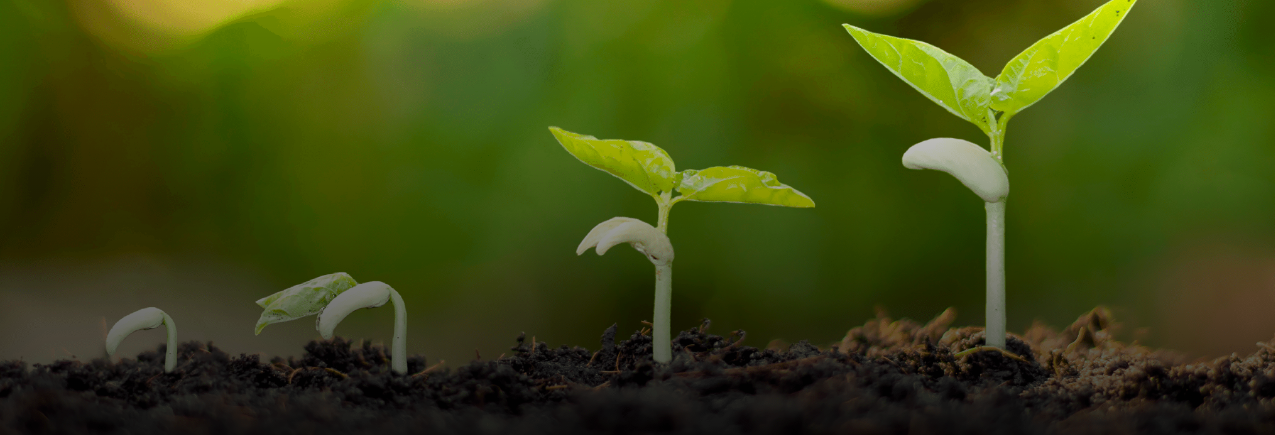 UNFS Stocktake Moment