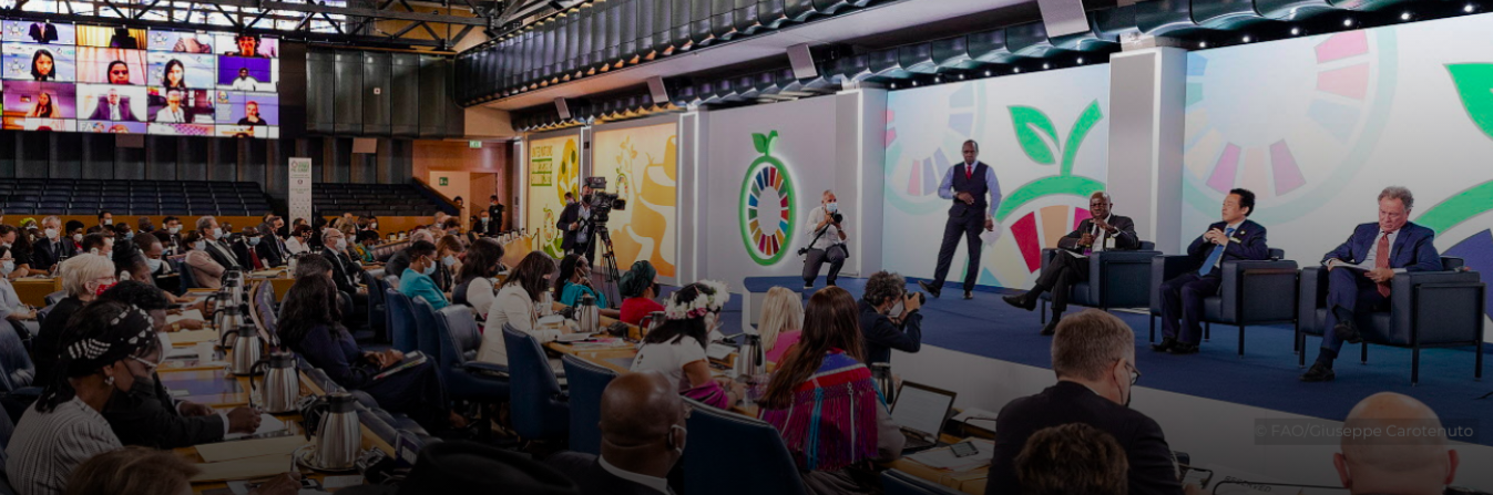 Credits: FAO/Giuseppe Carotenuto